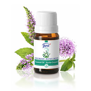 3 Mint Essential Oil Blend x 10 ml